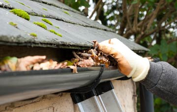 gutter cleaning Synton Mains, Scottish Borders