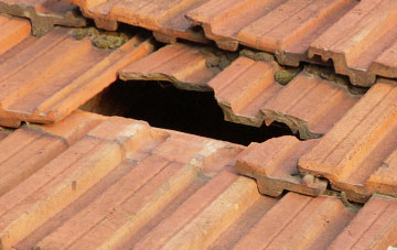 roof repair Synton Mains, Scottish Borders